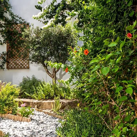 Dei Ciottoli * Rhodes City