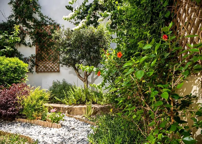 Dei Ciottoli * Rhodes City